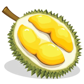 ทุเรียน