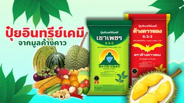 แบนเนอร์-9