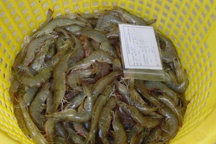 iTopPlus460431634870