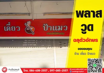 ป้าแมว