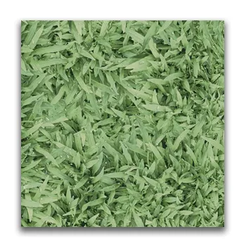 182