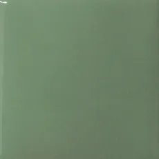 SP-TCI05-สีเขียวรุ่นธรรมดา