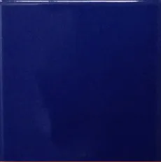 SP-TCI10-สีโซแรนโต้รุ่นธรรมดา