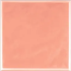 SP-TCI30-ส้มคาร์เนชั่นรุ่นอันธิกาพิเศษ