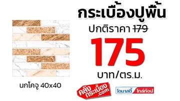 กระเบื้องปูพื้น40x40dynastyนกโคจู
