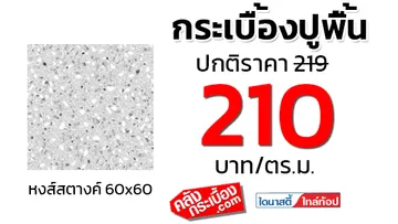 กระเบื้องปูพื้น60x60dynastyหงส์สตางค์