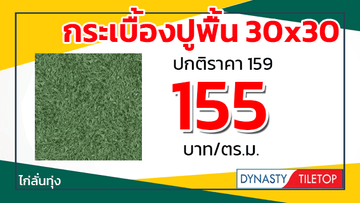 โปรพยกระเบื้องปูพื้น30x30ไดนาสตี้ไก่ลั่นทุ่ง
