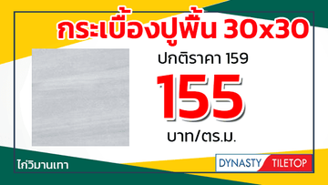 โปรพยกระเบื้องปูพื้น30x30ไดนาสตี้ไก่วิมานเทา