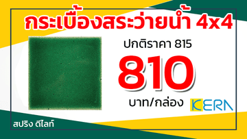 โปรพยกระเบื้องสระว่ายน้ำเคอร่าสปริงดีไลท์