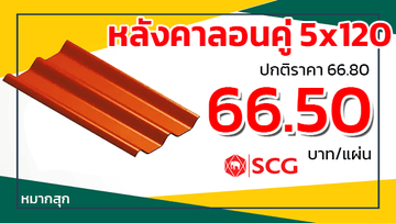 โปรลอนคู่scgหมากสุก