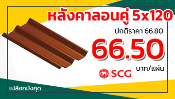 โปรลอนคู่scgเปลือกมังคุด