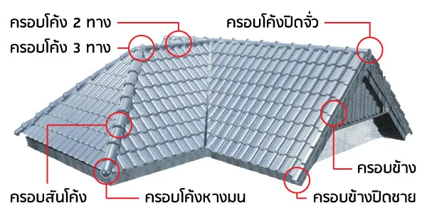 ครอบข้างปิดชาย ซีแพคโมเนีย