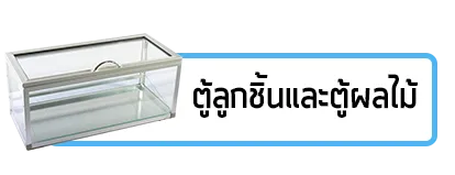 iTopPlus405872479522