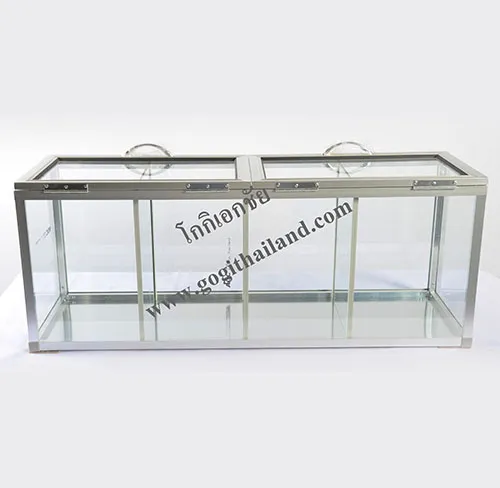 iTopPlus545693738178