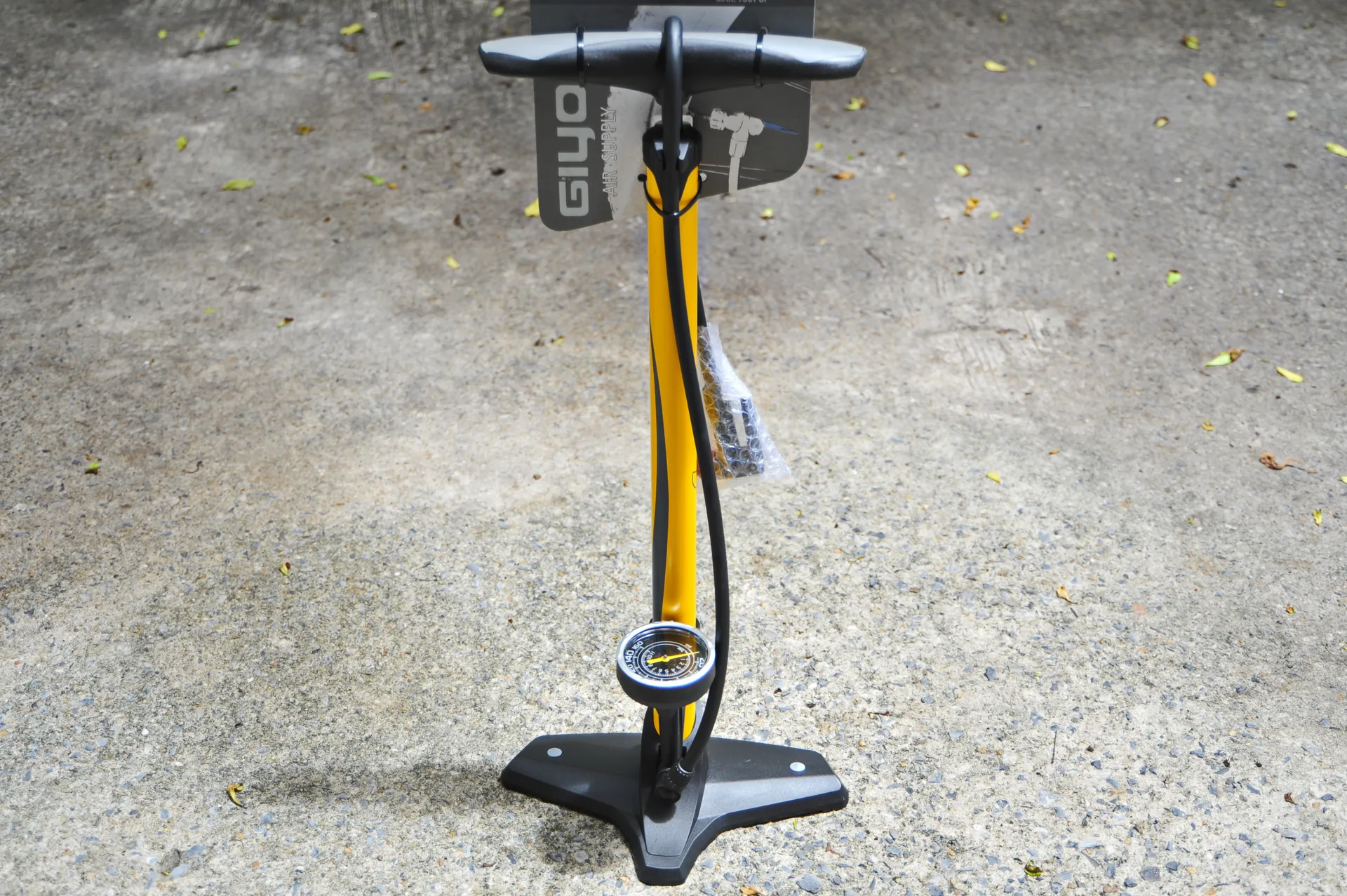 DSC1799