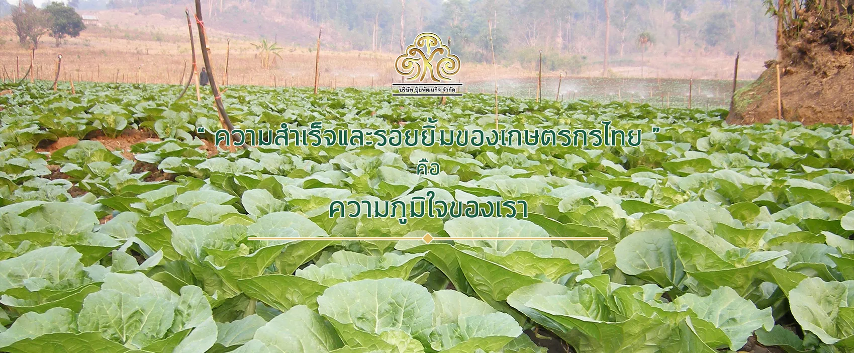iTopPlus1319245659313