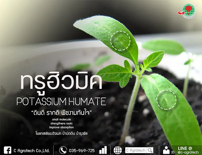 c-agrotech-1