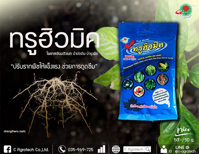 c-agrotech-3