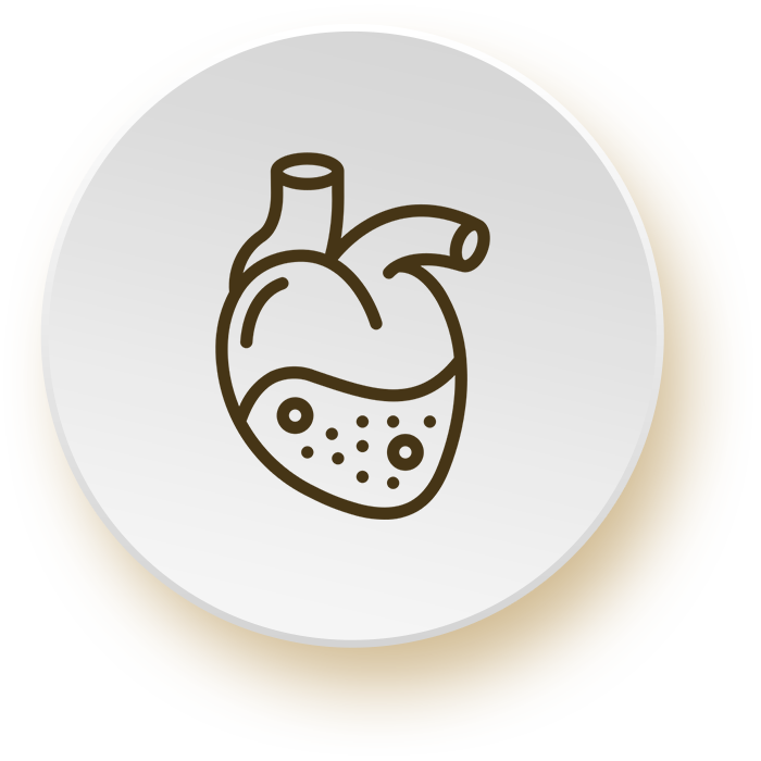 gracetcm-icon4