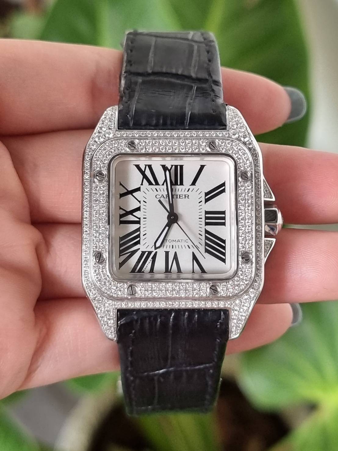 Santos 100 medium online