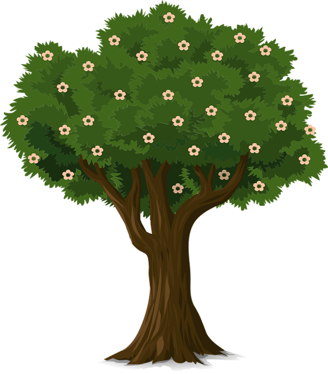 tree-773636960720