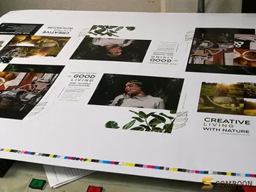 brochure5