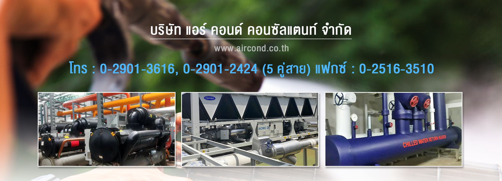 iTopPlus197145708837