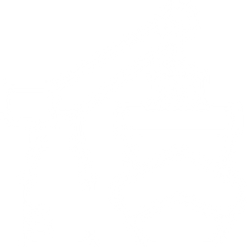 icon2