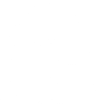 icon4