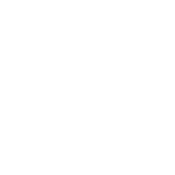 icon5