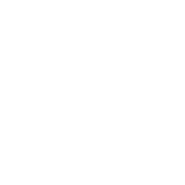 icon6