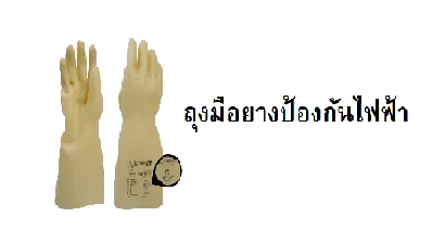 RGLE00