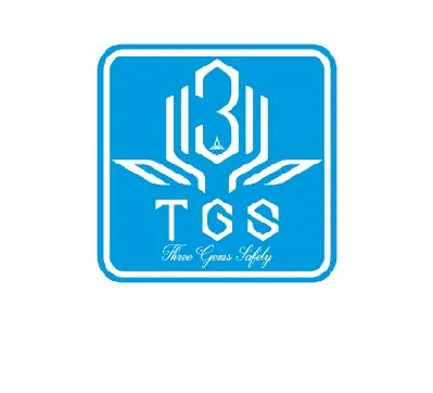 logoTHREE-GEMS