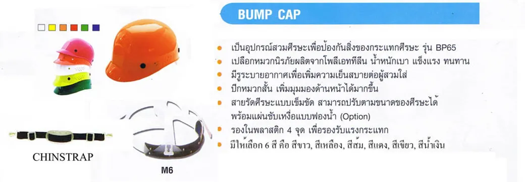 bumpcapBLUEEAGLE1