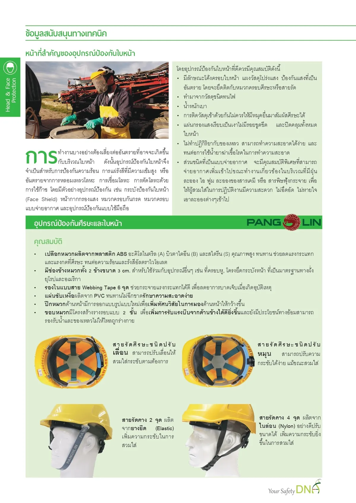 01HeadProtection2022page-0004