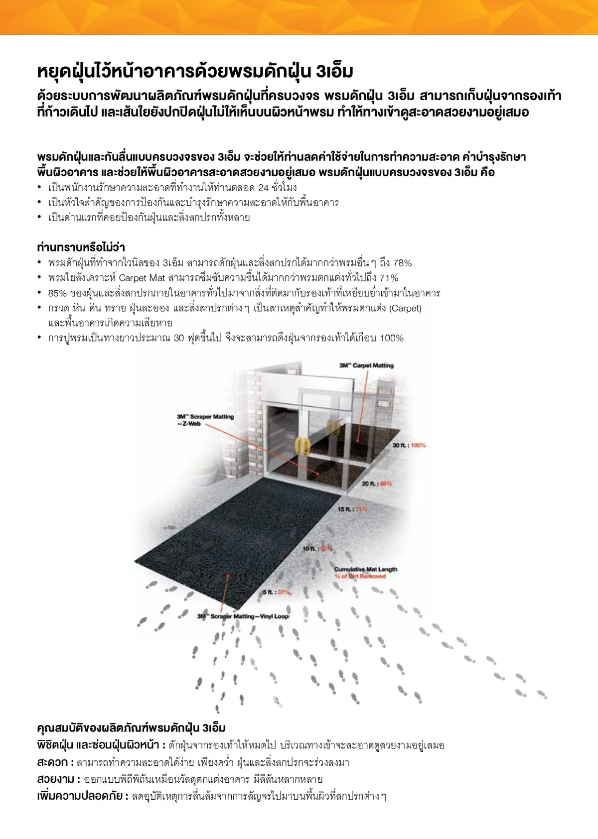 พรมดักฝุ่น3M(2)