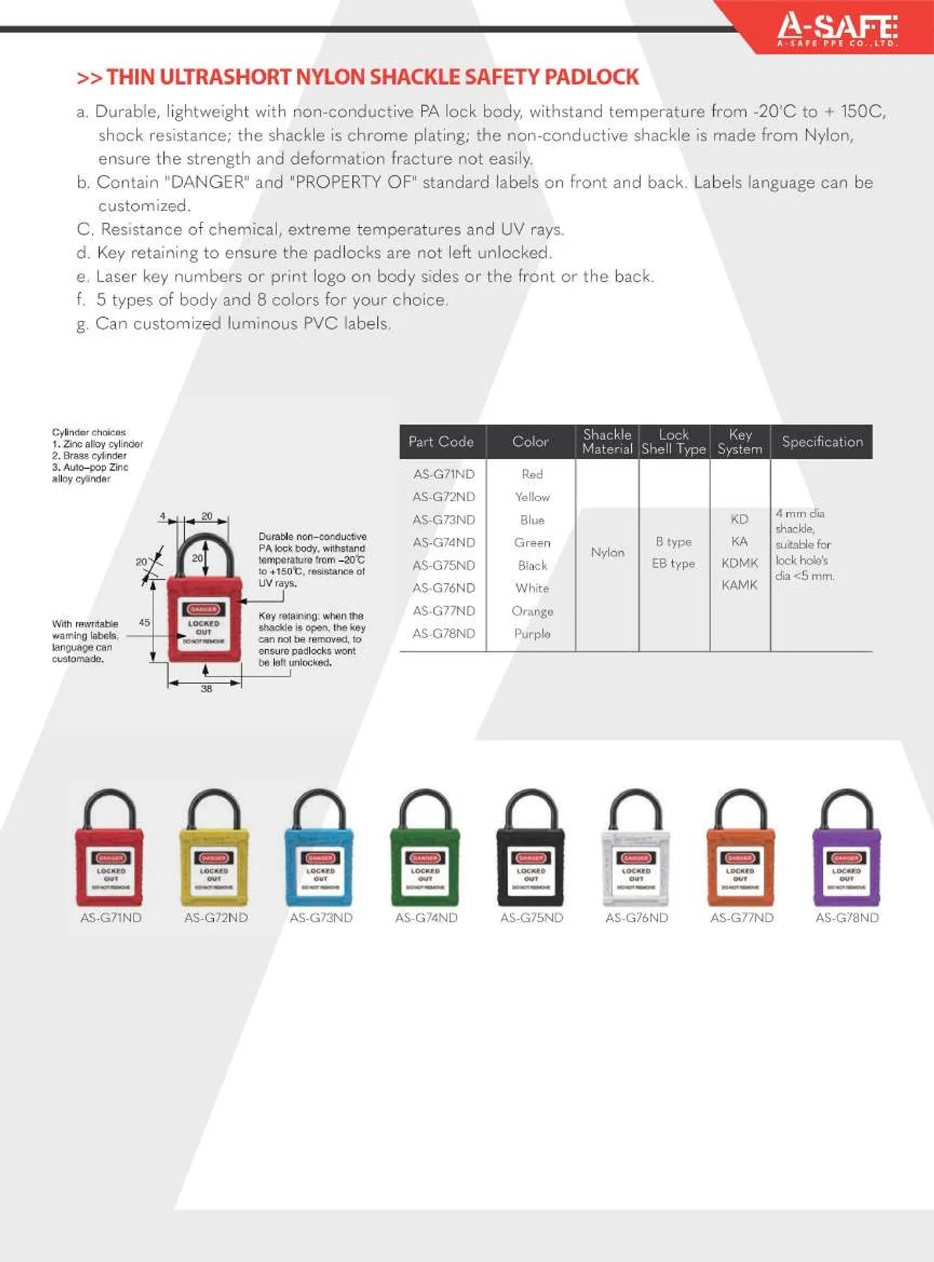 A-SAFE2023Page12