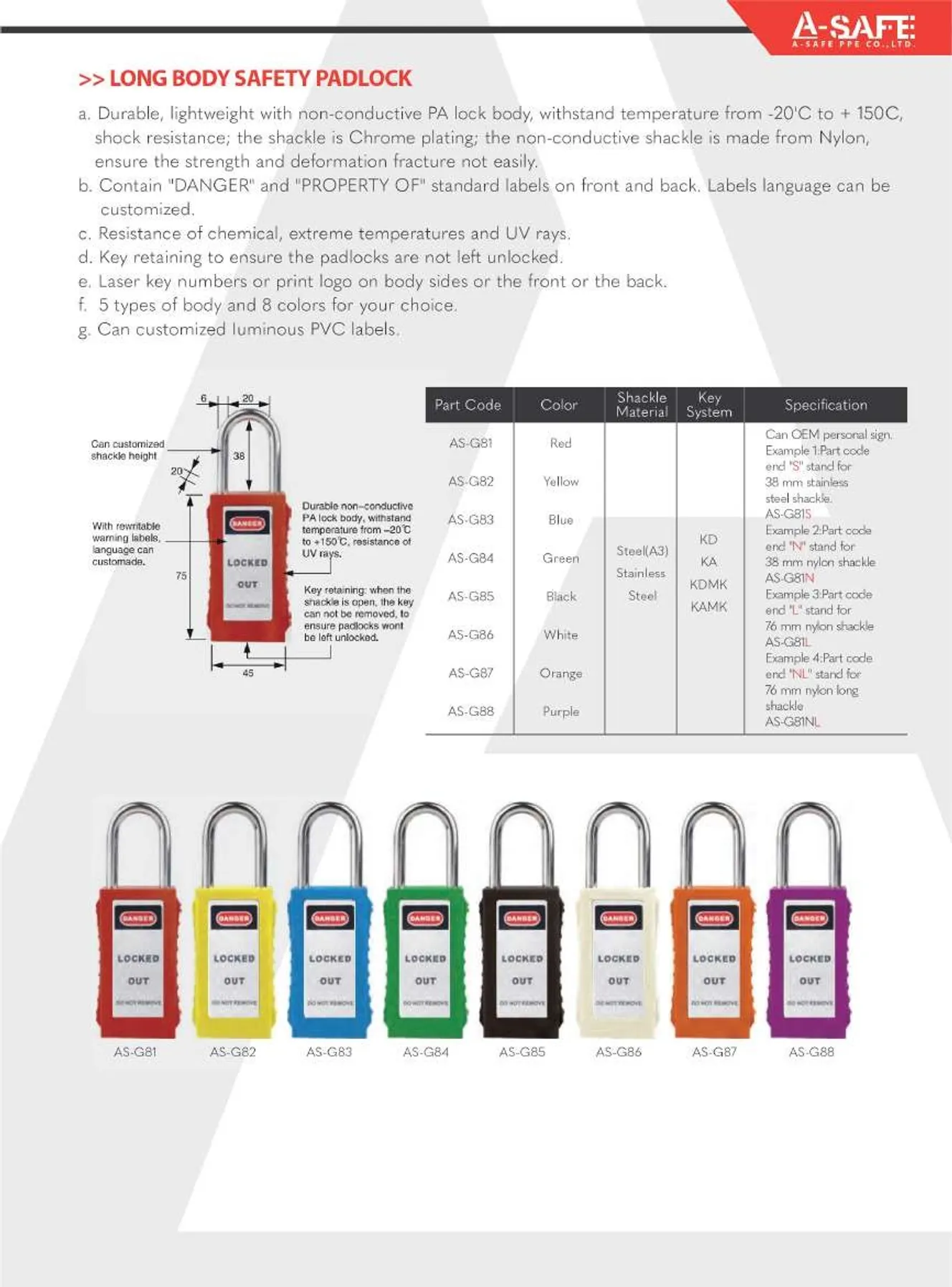 A-SAFE2023Page13
