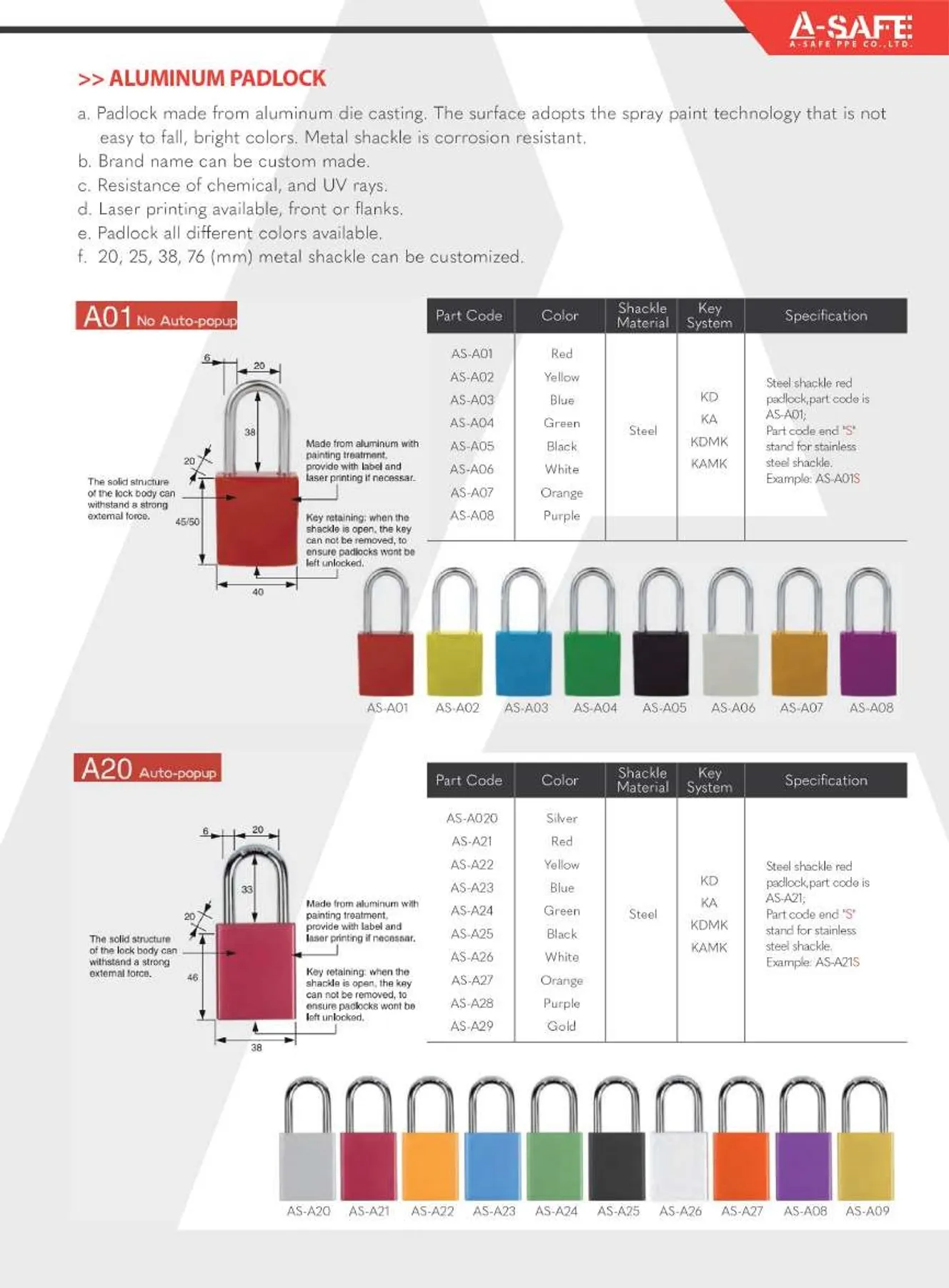 A-SAFE2023Page15