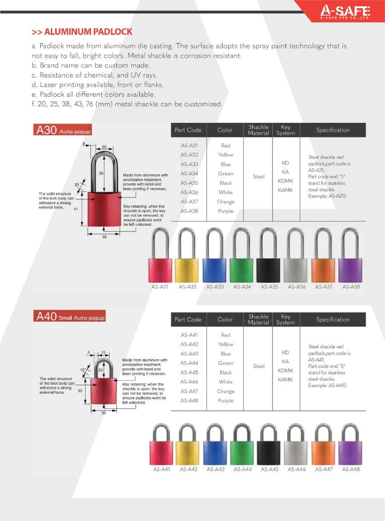 A-SAFE2023Page16