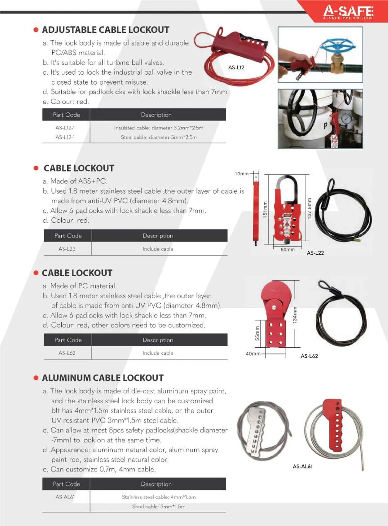 A-SAFE2023Page38