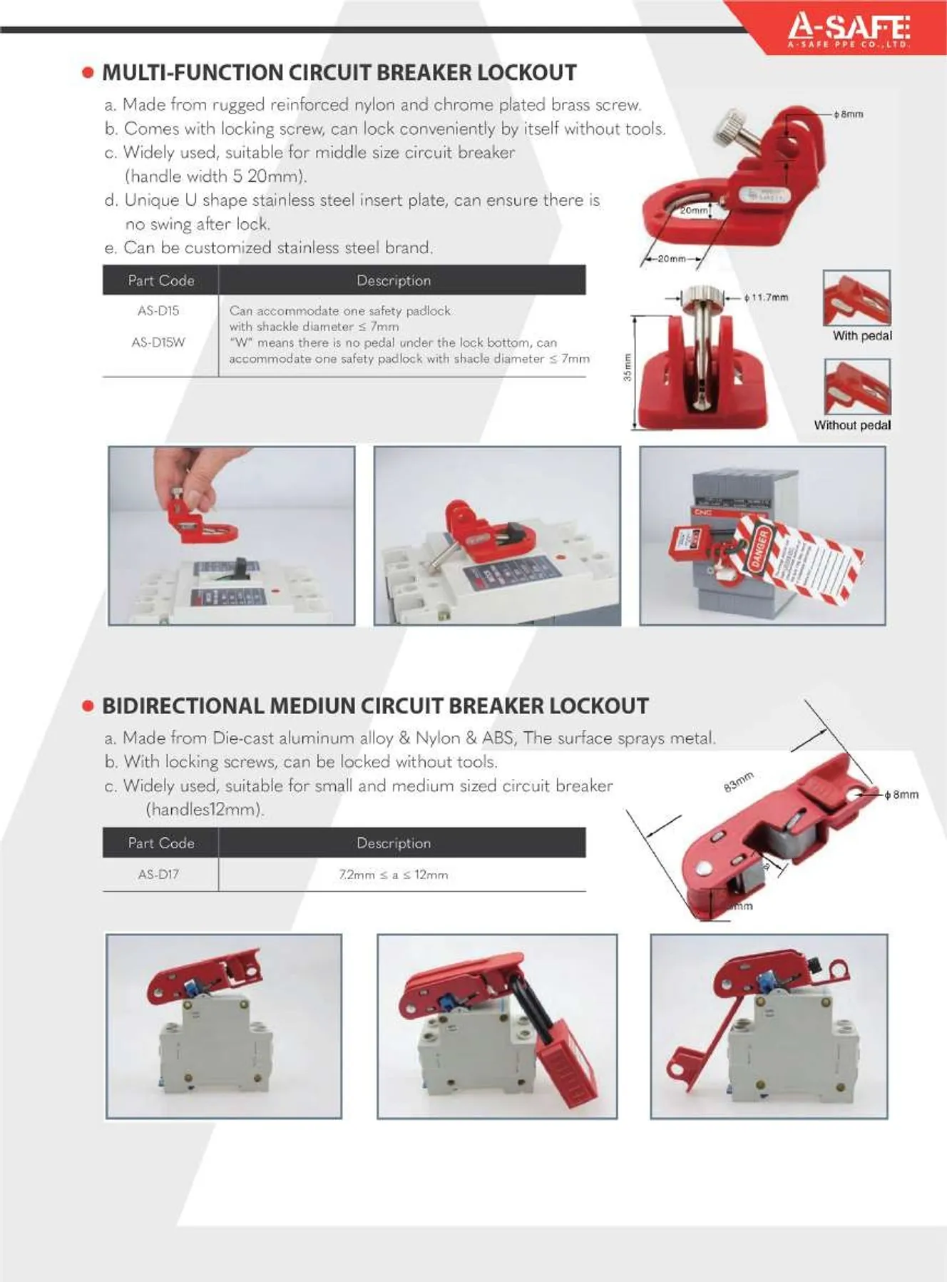 A-SAFE2023Page45