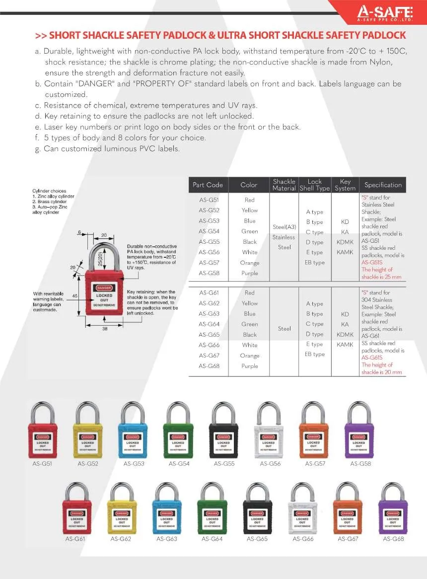 A-SAFE2023Page06