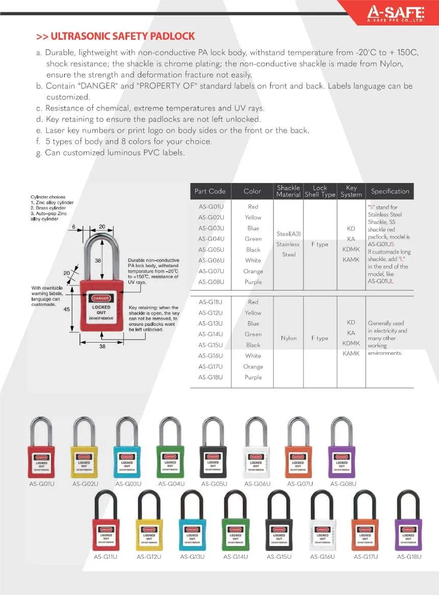 A-SAFE2023Page10