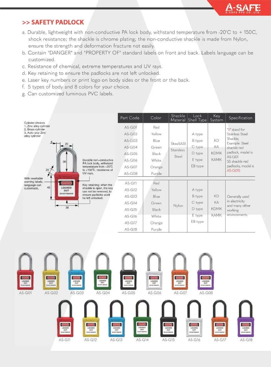 A-SAFE2023Page03