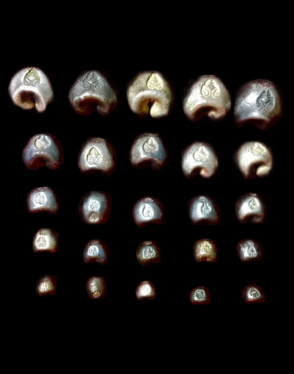 iTopPlus110075684491