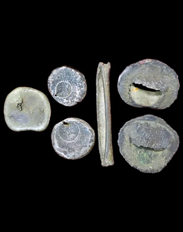 iTopPlus1440841464451
