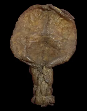 iTopPlus699231943347