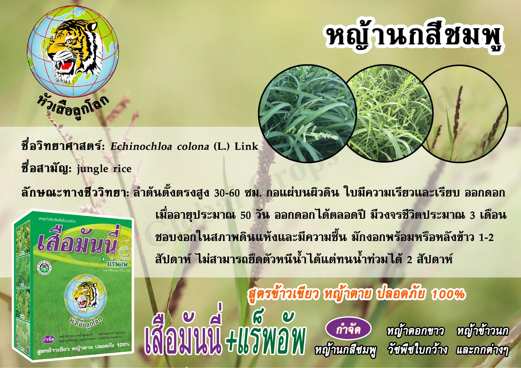 iTopPlus1414538385006
