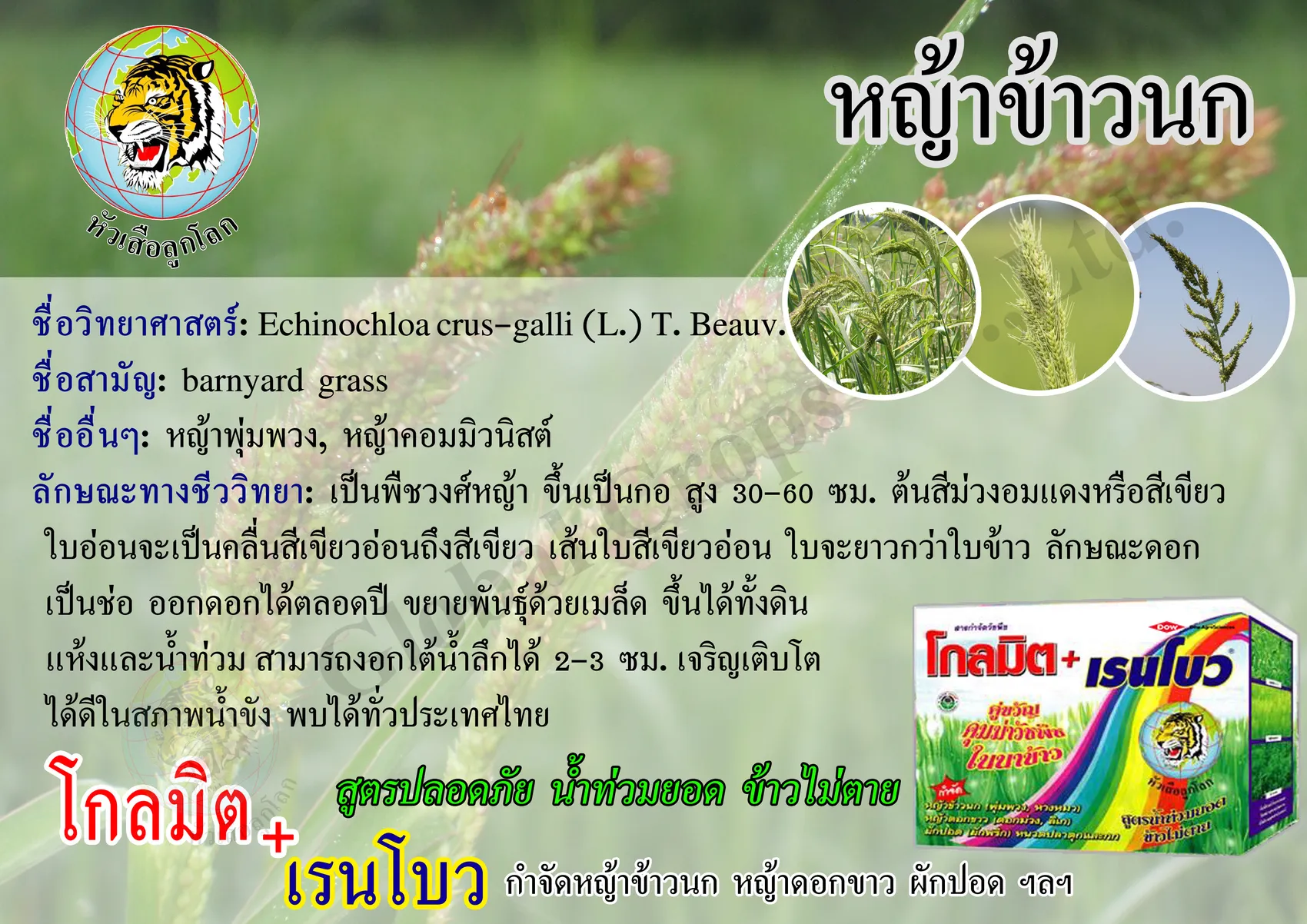 iTopPlus753500211735